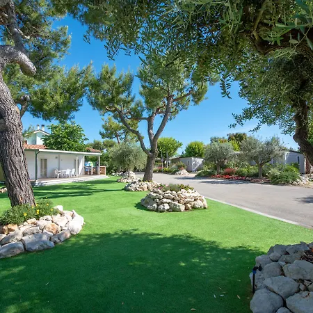 Stork Camping Village-2